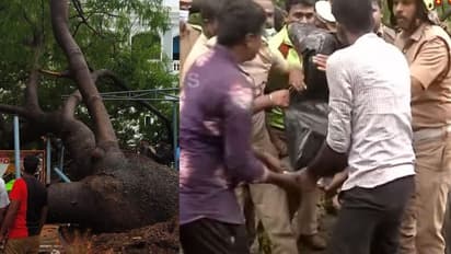 சென்னை தலைமை செயலகத்தில் பயங்கரம்.. மரம் விழுந்து பெண் காவலர் துடி துடித்து உயிரிழப்பு.. காவலர்கள் அதிர்ச்சி.