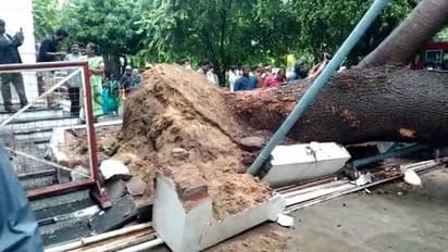 ದೇವಸ್ಥಾನದ ಬಳಿ ಬಿರುಗಾಳಿಗೆ ಉರುಳಿದ ಬೃಹತ್ ಮರ: 7 ಭಕ್ತರು ಬಲಿ, 20 ಕ್ಕೂ ಹೆಚ್ಚು ಮಂದಿಗೆ ಗಾಯ