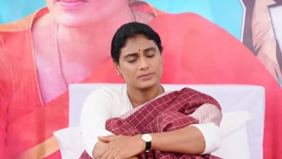 ముహూర్తం ఫిక్స్.. షర్మిల ఏపీసీసీ అధ్యక్షురాలిగా 21న, ఇడుపుల పాయనుంచి బాధ్యతల స్వీకరణ..