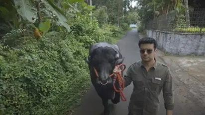 Ramesh Pishraody PetFlix|പോത്തുമായി രമേഷ് പിഷാരടി രാജ, 'പെറ്റ്ഫ്ളിക്സ്' കാണാം