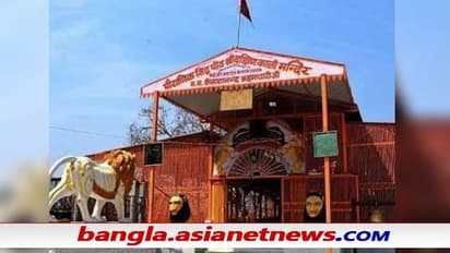 Kali Puja 2021 - সাদা-কালো নাগ-নাগিনী ও অজগর, রহস্যে মোড়া হরিদ্বারের দক্ষিণ কালী মন্দির