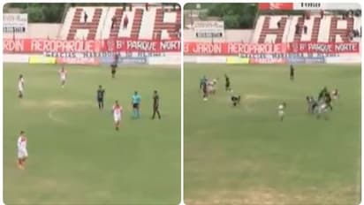 মেসির দেশের ম্যাচ চলাকালীন গুলিবিদ্ধ ফুটবল কোচ, দেখুন ভাইরাল ভিডিও