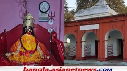 Kali Puja 2021- মহাপীঠ কিরীটেশ্বরীর টানে মুর্শিদাবাদের কালীপুজোয় ভিন রাজ্যের ভক্তদেরও ভীড়