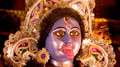 কালী মূর্তির পায়ের কাছে রাখা কাটা মুণ্ডু, নরবলি কি না জানতে শুরু তদন্ত