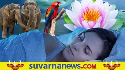 GOOD LUCK superstitions: ಹಿಂಗೆಲ್ಲ ಆದ್ರೆ ಅದೃಷ್ಟ ಅಂತಾರಲ್ಲಾ.. ನೀವೇನಂತೀರಿ?