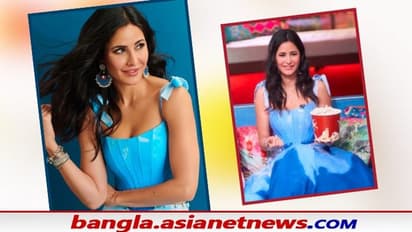 Katrina Kaif Controversy- চিনতে বেশ সমস্যা, বিয়ের আগেই লুক বদল, এ কী কাণ্ড ঘটালেন ক্যাট