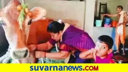 ಶಿರಸಿ: ಈ ಗ್ರಾಮ​ಗ​ಳಲ್ಲಿ 2 ದಿನ ಬಿಟ್ಟು ದೀಪಾ​ವ​ಳಿ ಗೋವಿನ ಪೂಜೆ..!