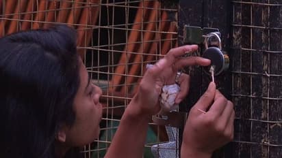 Bigg Boss Telugu 5: సిరి మనసు విరిచేసిన షణ్ముఖ్.. పదే పదే ఆ మాటలతో..