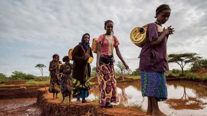 Climate Change पर UNEP की रिपोर्ट: कोशिशों में कई बड़ी खामियां, फंड को लेकर भी वादे पूरे नहीं