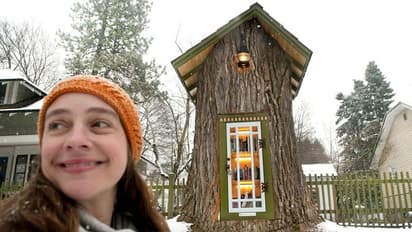 ഈ അതിഗംഭീര ലൈബ്രറി ഒരു മരക്കുറ്റിയിലാണ്!