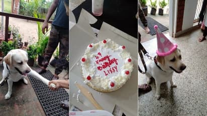 പൊലീസ് നായ ലിസിയുടെ ജന്മദിനാഘോഷം ശിശുപരിചരണ കേന്ദ്രത്തിൽ