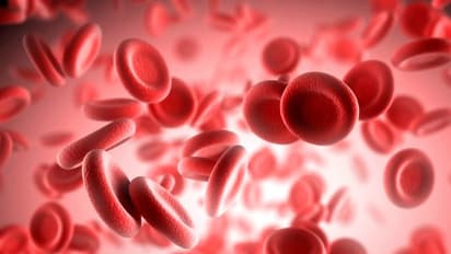 low platelet count| പ്ലേറ്റ്‍ലെറ്റ് കൗണ്ട് കൂട്ടാൻ സഹായിക്കുന്ന ആറ് ഭക്ഷണങ്ങളിതാ...