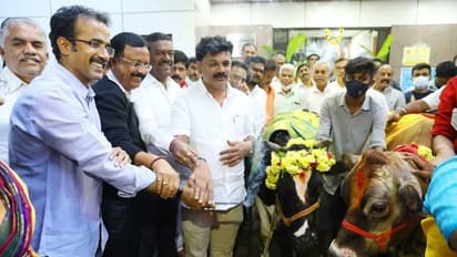 ಗೋವುಗಳ ರಕ್ಷಣೆಗೆ ದಿಟ್ಟ ಹೆಜ್ಜೆ ಇಟ್ಟ ಸರ್ಕಾರ