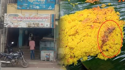 ஹோட்டலில் வாங்கிய லெமன் சாதத்தில் பல்லி.. சாப்பிட்ட 2 குழந்தைகள் மயக்கம்.. மருத்துவமனையில் தீவிர சிகிச்சை.!