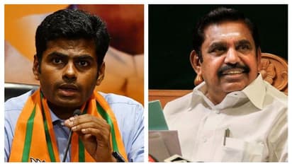 அ.தி.மு.க – பா.ஜ.க. பிரிவு அரசியல் நாடகமா?! தேர்தல் களத்தை உசுப்பிவிடும் விமர்சகர்கள்..