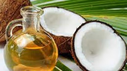 Chapped Lips Remedies : ചുണ്ട് വരണ്ട് പൊട്ടുന്നത് തടയാൻ ഇവ ഉപയോ​ഗിക്കാം 