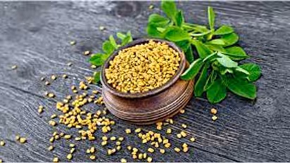 வெந்தயம் ரொம்ப குளிர்ச்சினு தெரியும்.. ஆனா தினமும் 1 ஸ்பூன் சாப்பிட்டால் இத்தனை நன்மை கிடைக்குமா? 