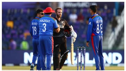 T20 World Cup 2021: India knocked out as New Zealand gets the better of Afghanistan by 8 wickets