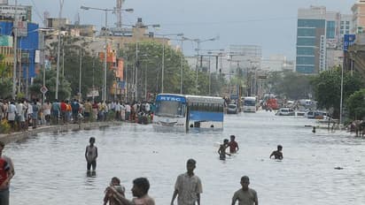 Tamil Nadu rains: Trees uprooted, house flooded in Chennai, IMD issues weather warning