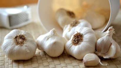 മഴക്കാലത്ത് ഡയറ്റില് ഉള്പ്പെടുത്താം വെളുത്തുള്ളി; ഗുണങ്ങള് ഇതാണ്...