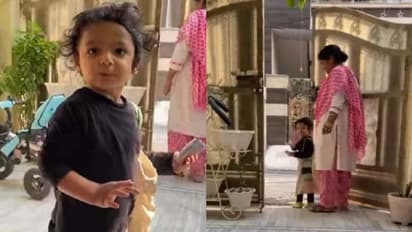 'തക്കാളി, ബ്രൊക്കോളി, ക്യാപ്സിക്കം...'; സഞ്ചിയും ലിസ്റ്റുമായി പച്ചക്കറി വാങ്ങാന് പോകുന്ന കുരുന്ന്; വീഡിയോ