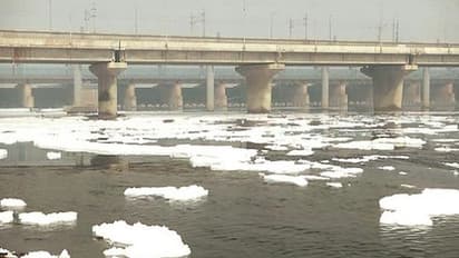 Ahead of Chhath Puja, boats, barricades, water-spraying contain toxic foam in Yamuna river