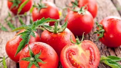 Tomato Hits Century-অগ্নিমূল্য সবজি বাজার, সেঞ্চুরি করল টমেটো, কিছুটা স্বস্তি মাছ বাজারে