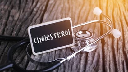 bad cholesterol : ചീത്ത കൊളസ്‌ട്രോള്‍ കുറയ്ക്കാന്‍ സഹായിക്കുന്ന 6 മികച്ച ഭക്ഷണങ്ങൾ