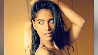 Poonam Pandey Video-ফের সোশ্যাল মিডিয়ায় ভাইরাল পুনম পান্ডে,খালি গাড়িতে ভুতুড়ে সঙ্গম
