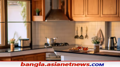 Vastu Tips: সংসারে আর্থিক টানাপোড়েন লেগেই রয়েছে, বাস্তুদোষে হতে পারে এমন সমস্যা, জেনে নিন কী করবেন