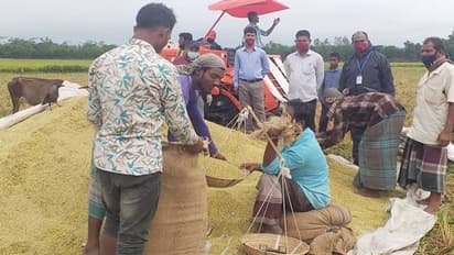 Murshidabad Farmers-নবান্নের নির্দেশে বাড়তি সহায়ক মূল্যে ধান কেনার ঘোষণা