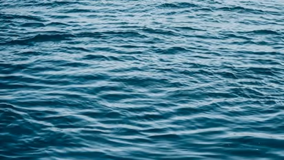 Drowned to Death : ചാലിയാർ പുഴയിൽ ഒഴുക്കിൽപ്പെട്ട കോളേജ് അധ്യാപകൻ മരിച്ചു