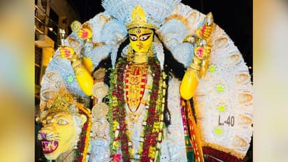 Jagadhatri Puja 2021: ঐতিহ্যের 'সাঙ'‐এর দাবিতে লড়াই কৃষ্ণনগরবাসীর