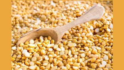 Health Tips: Chana Dal से किस तरह किया जा सकता है वजन कम, जानें इसके फायदे