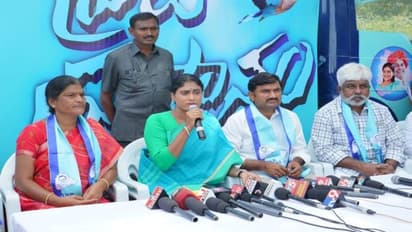 తెలంగాణలో పందికొక్కుల్లా తిన్నది చాల్లేదా.... ఇక దేశంపై పడుతున్నారా: కేసీఆర్పై షర్మిల వ్యాఖ్యలు