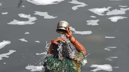 Toxic Yamuna: Sprinkling water in river to remove foam? Delhi govt mocked for 'gimmick'