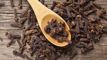 Cloves Health Benefits :  ഗ്രാമ്പു നിസാരക്കാരനല്ല; ആരോഗ്യഗുണങ്ങളെ കുറിച്ചറിയാം