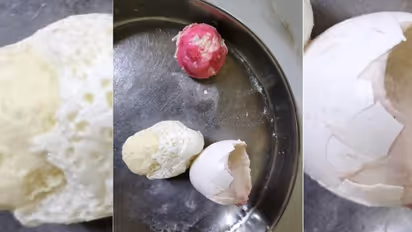 പന്തീരങ്കാവിൽ ഫുഡ് സേഫ്റ്റി ഓഫീസറുടെ  ഇടപെടലില്‍ വന്‍ ഭക്ഷ്യവിഷബാധ ഒഴിവായി