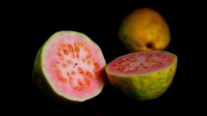 Health Tips : கொய்யா உடலுக்கு நல்லது தான்- ஆனால்..? நிபுணர்கள் விடுக்கும் எச்சரிக்கை..!!