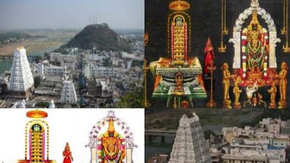 శ్రీకాళహస్తి అసెంబ్లీ ఎన్నికల ఫలితాలు 2024