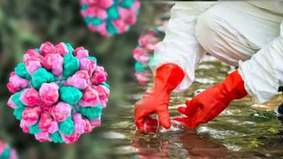 Norovirus in Kerala| ಕೊರೋನಾ ಬಳಿಕ ಕೇರಳದಲ್ಲಿ ನೋರೋ ವೈರಸ್‌ ಪತ್ತೆ!