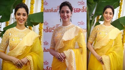 Tamannaah: హృదయాలు దోచుకుంటున్న తమన్నా వీడియో.. చిన్న విషయమే, అయినా పొంగిపోతున్న ఫ్యాన్స్