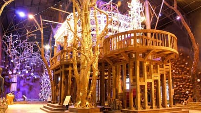 यहां है देश का एकमात्र ट्राइबल म्यूजियम,देश-विदेश से आते हैं लोग,आदिवासी संस्कृति की दिखती है झलक,जानें खासियत