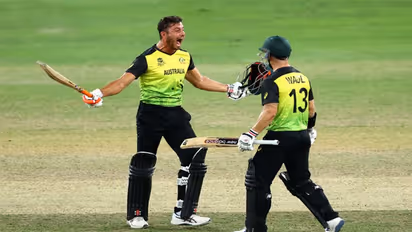 సెమీస్లో ఓడిన పాకిస్తాన్, టాపాసులు పేలుస్తూ సంబరాలు చేసుకున్న టీమిండియా ఫ్యాన్స్... అసలు కారణం ఇదే!