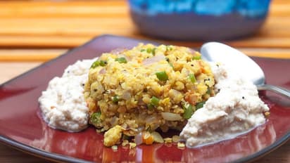 জলখাবারে ঝটপট বানিয়ে ফেলুন মাছের পুডিং, রইল সুস্বাদু এই পদের রেসিপি