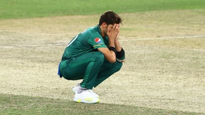 ಏಷ್ಯಾಕಪ್‌ನಿಂದ ಶಾಹೀನ್ ಅಫ್ರಿದಿ ಔಟ್; ಟೀಂ ಇಂಡಿಯಾ ಆಟಗಾರರಿಗೆ ಬಿಗ್ ರಿಲೀಫ್ ಎಂದ ಪಾಕ್ ಮಾಜಿ ವೇಗಿ..!