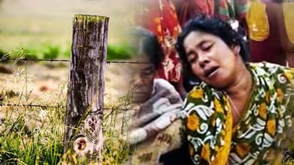 Sitai- গরুপাচারের মিথ্যা অভিযোগে ফাঁসানো হয়েছে, সিতাই কাণ্ডে বিস্ফোরক দাবি মৃতের স্ত্রীর