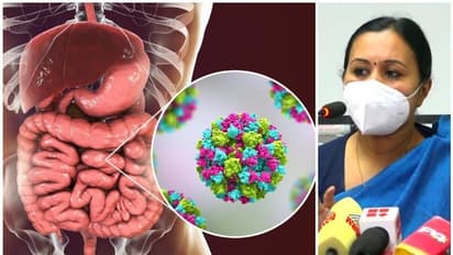 Norovirus| വയനാട്ടിൽ നോറോവൈറസ്, ജാഗ്രത വേണമെന്ന് ആരോഗ്യമന്ത്രി, നിങ്ങളറിയേണ്ടത്