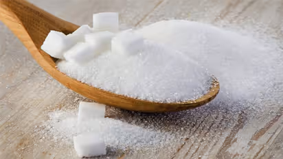 Relationship Tips- সম্পর্কের মাঝে যৌনতার উষ্ণ আবেদন, এই একটি উপাদানেই মিলবে পরমসুখ