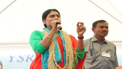  ఇండియన్ బుక్ ఆఫ్ రికార్డ్స్‌లో వైఎస్ షర్మిలకు చోటు.. అధిక దూరం పాదయాత్ర చేసిన తొలి మహిళగా..